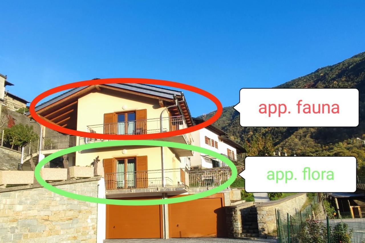 Appartement Pisolo Selvaggio à Tirano Extérieur photo