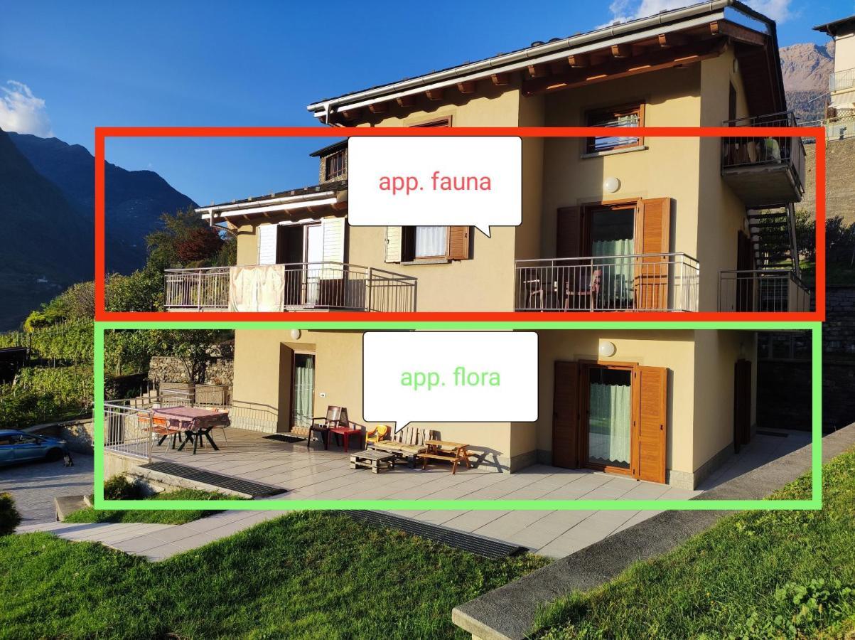 Appartement Pisolo Selvaggio à Tirano Extérieur photo