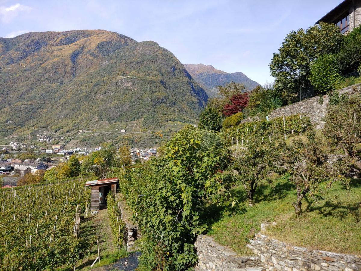 Appartement Pisolo Selvaggio à Tirano Extérieur photo